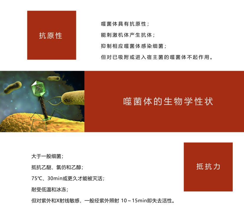 C57E56BB-F47E-4735-A7F6-A8028D8BA71C.png